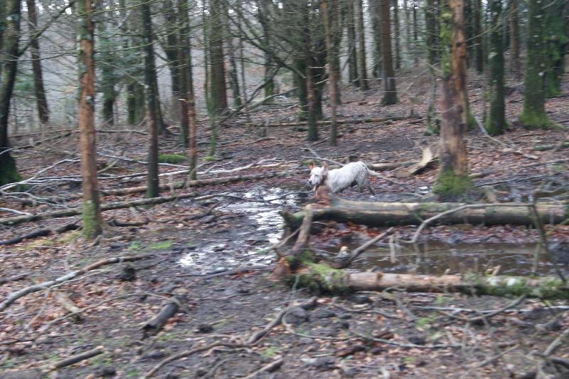 Audie Des bords du rieuvert