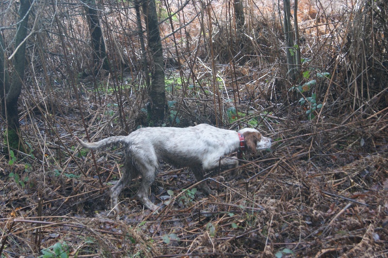 Audie Des bords du rieuvert