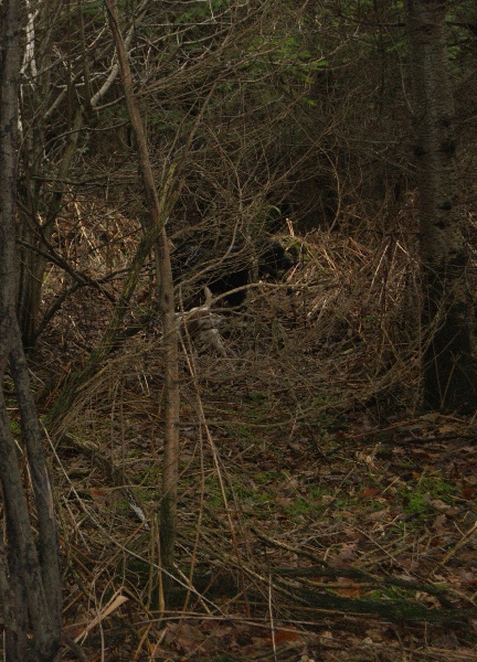 Audie Des bords du rieuvert