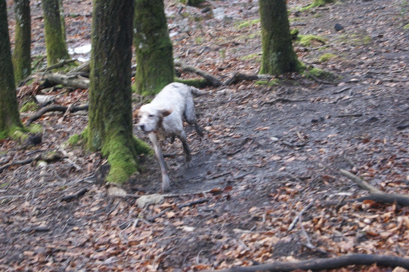 Audie Des bords du rieuvert