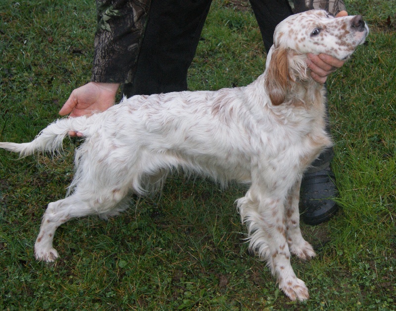 Fidjy des rocs du Sidobre